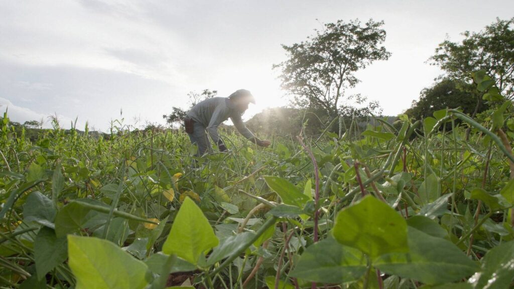 Rádio Liberdade 87,9 Fm de Porteirinha-Entre o minério e a água bastidores revelam como interesses minerários influenciam retrocessos-3