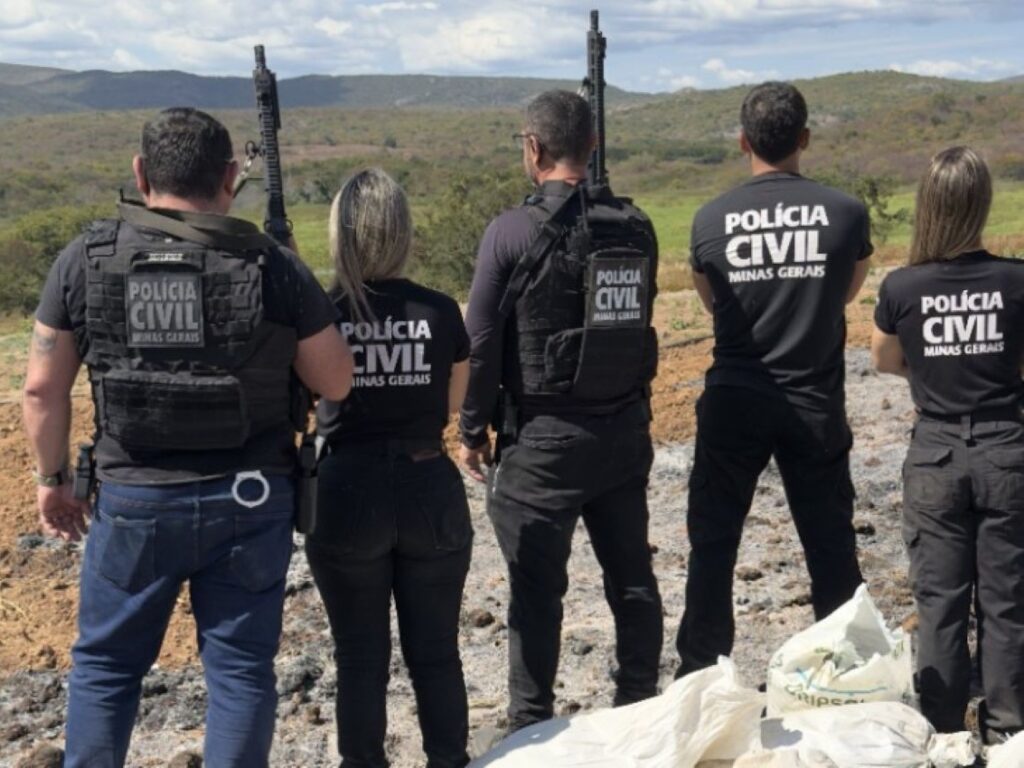 Rádio Liberdade 87,9 FM de Porteirinha-MG -Polícia Civil encontra terceira estrutura de cultivo de maconha ligada a organização criminosa em Porteirinha. 1