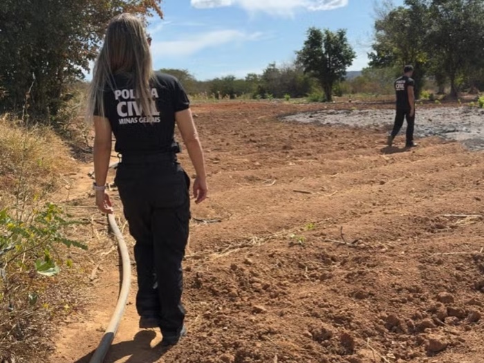 Rádio Liberdade 87,9 FM de Porteirinha-MG -Polícia Civil encontra terceira estrutura de cultivo de maconha ligada a organização criminosa em Porteirinha. 2